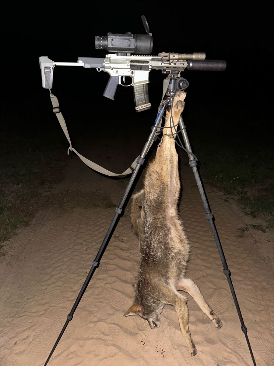 Coyote, thermal rifle